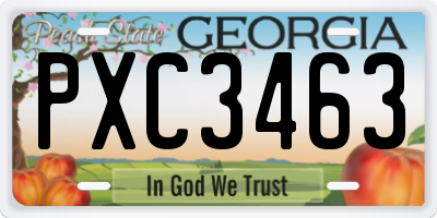 GA license plate PXC3463