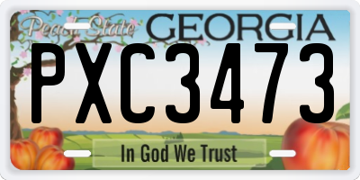 GA license plate PXC3473