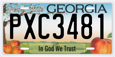 GA license plate PXC3481