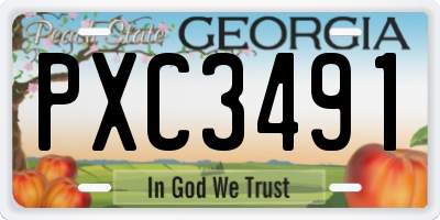 GA license plate PXC3491