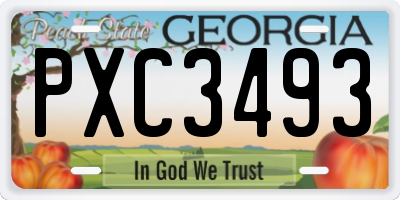 GA license plate PXC3493