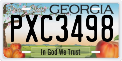 GA license plate PXC3498