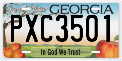 GA license plate PXC3501