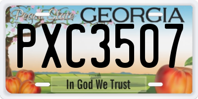 GA license plate PXC3507