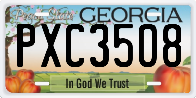 GA license plate PXC3508