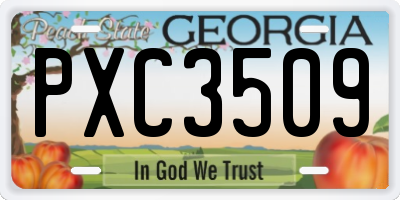 GA license plate PXC3509
