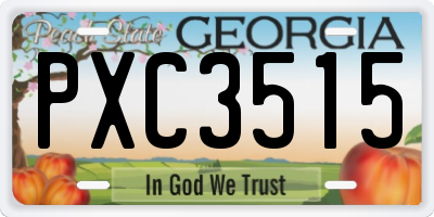 GA license plate PXC3515