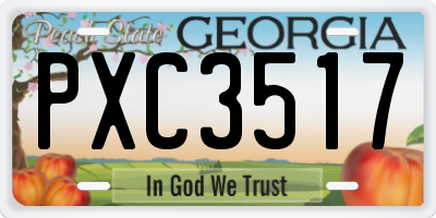 GA license plate PXC3517