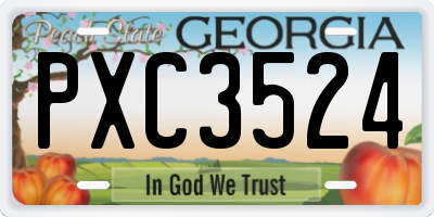 GA license plate PXC3524