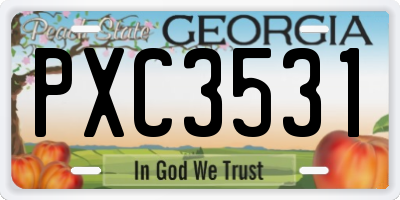 GA license plate PXC3531