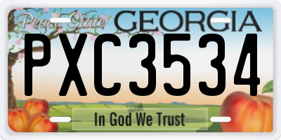 GA license plate PXC3534
