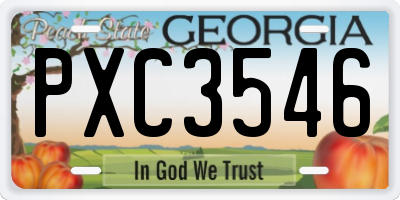GA license plate PXC3546