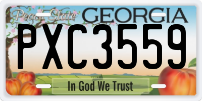 GA license plate PXC3559