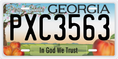 GA license plate PXC3563