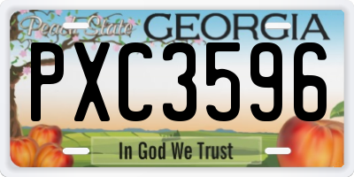 GA license plate PXC3596