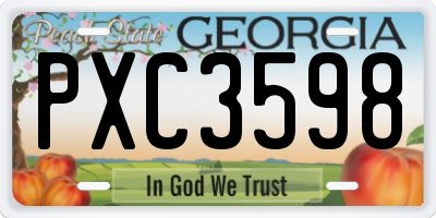GA license plate PXC3598