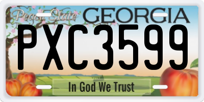 GA license plate PXC3599