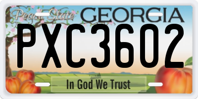 GA license plate PXC3602