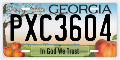 GA license plate PXC3604