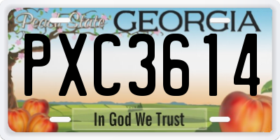 GA license plate PXC3614
