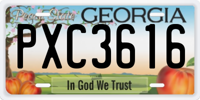 GA license plate PXC3616