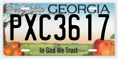 GA license plate PXC3617