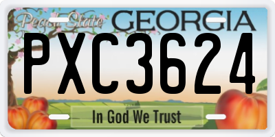 GA license plate PXC3624