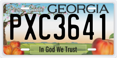 GA license plate PXC3641