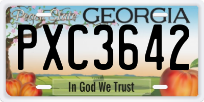 GA license plate PXC3642