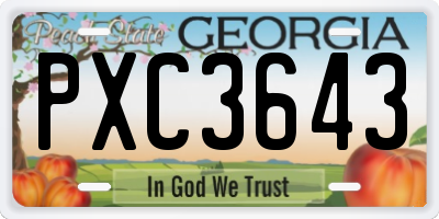 GA license plate PXC3643