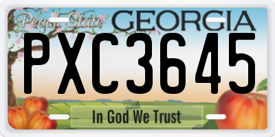 GA license plate PXC3645