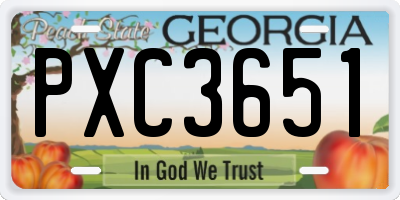GA license plate PXC3651