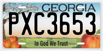 GA license plate PXC3653