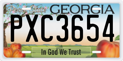 GA license plate PXC3654