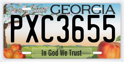 GA license plate PXC3655