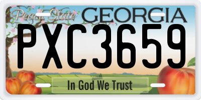 GA license plate PXC3659
