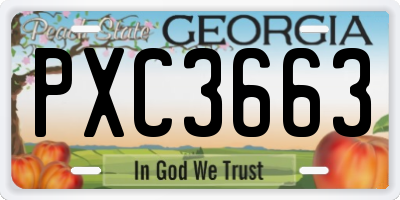 GA license plate PXC3663