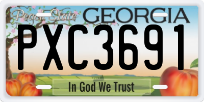 GA license plate PXC3691