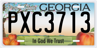GA license plate PXC3713