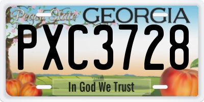 GA license plate PXC3728