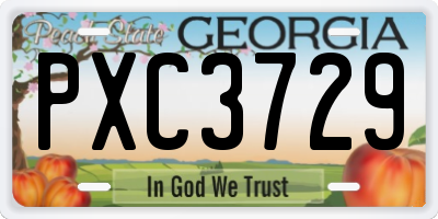 GA license plate PXC3729