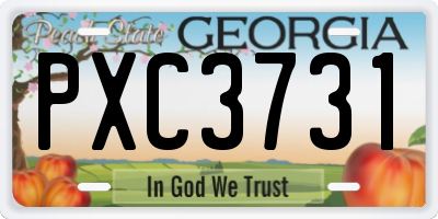 GA license plate PXC3731