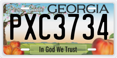 GA license plate PXC3734
