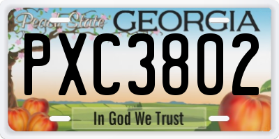 GA license plate PXC3802