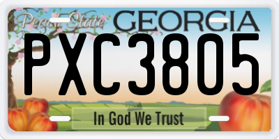 GA license plate PXC3805