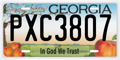 GA license plate PXC3807