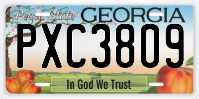 GA license plate PXC3809
