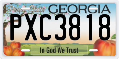GA license plate PXC3818