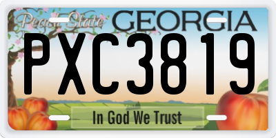 GA license plate PXC3819