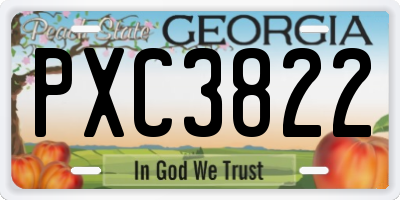 GA license plate PXC3822